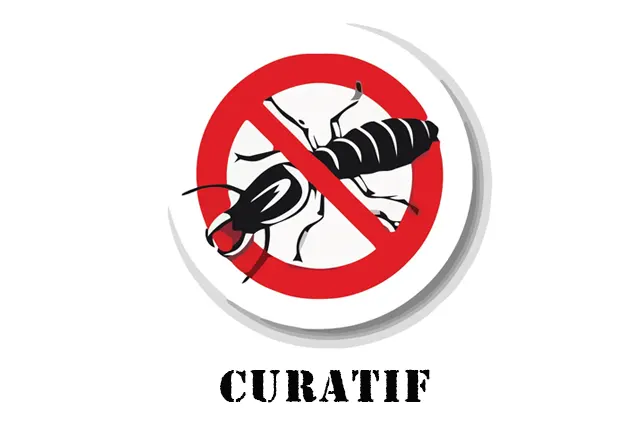 Traitement curatif termites