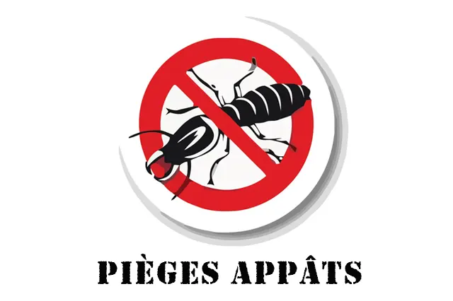 Traitement anti-termites par pièges appâts